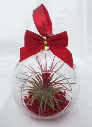 Christmas Glass Globe